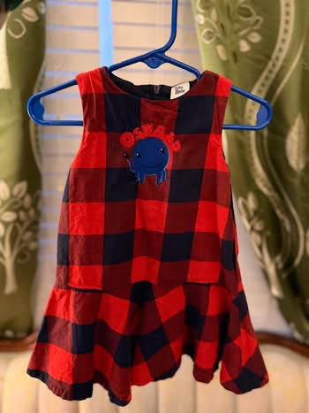 Embroidered Oswald Dress (18 months)