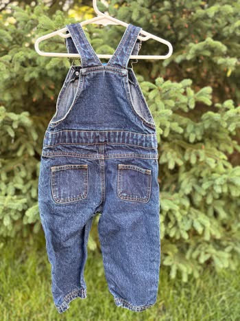 Embroidered Rolie Polie Overalls (18 months)