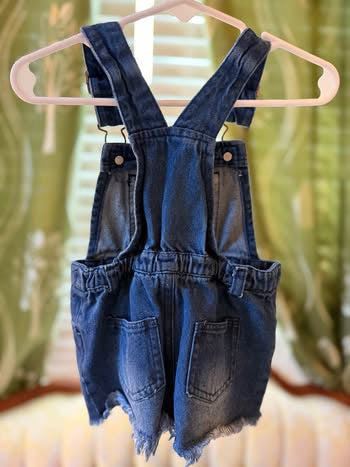 Embroidered Fox & the Hound Shortalls (12-18 months)
