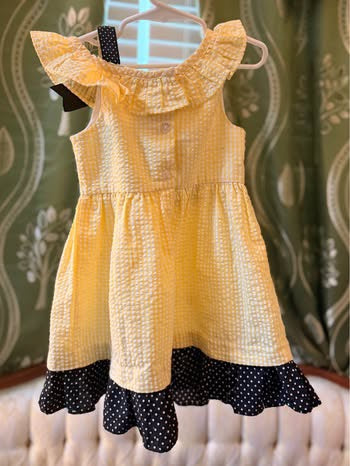 Embroidered Pooh Seersucker Dress (4T)