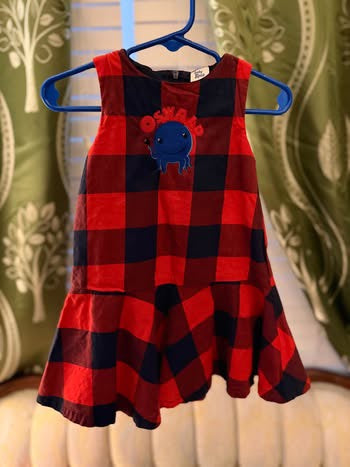 Embroidered Oswald Dress (18 months)