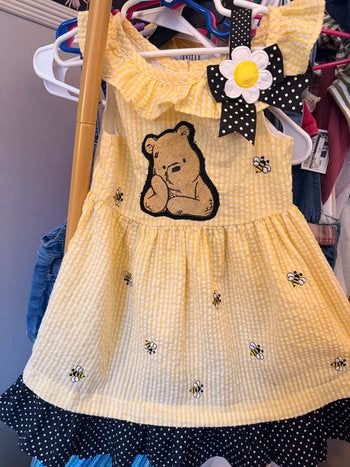 Embroidered Pooh Seersucker Dress (4T)