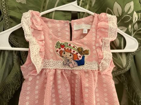 Strawberry Shortcake Inspired 4T Dress