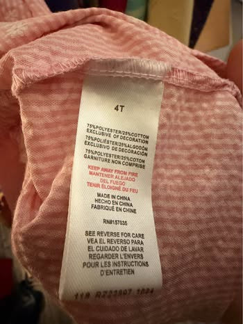Strawberry Shortcake Inspired 4T Dress