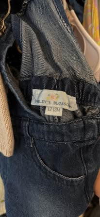 Embroidered Fox & the Hound Shortalls (12-18 months)