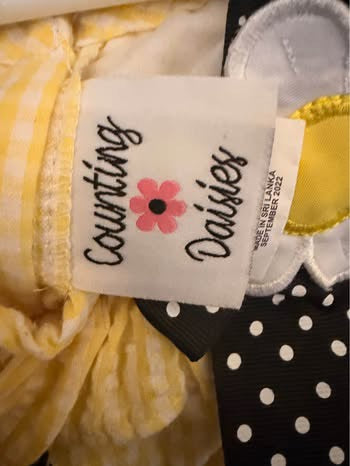 Embroidered Pooh Seersucker Dress (4T)
