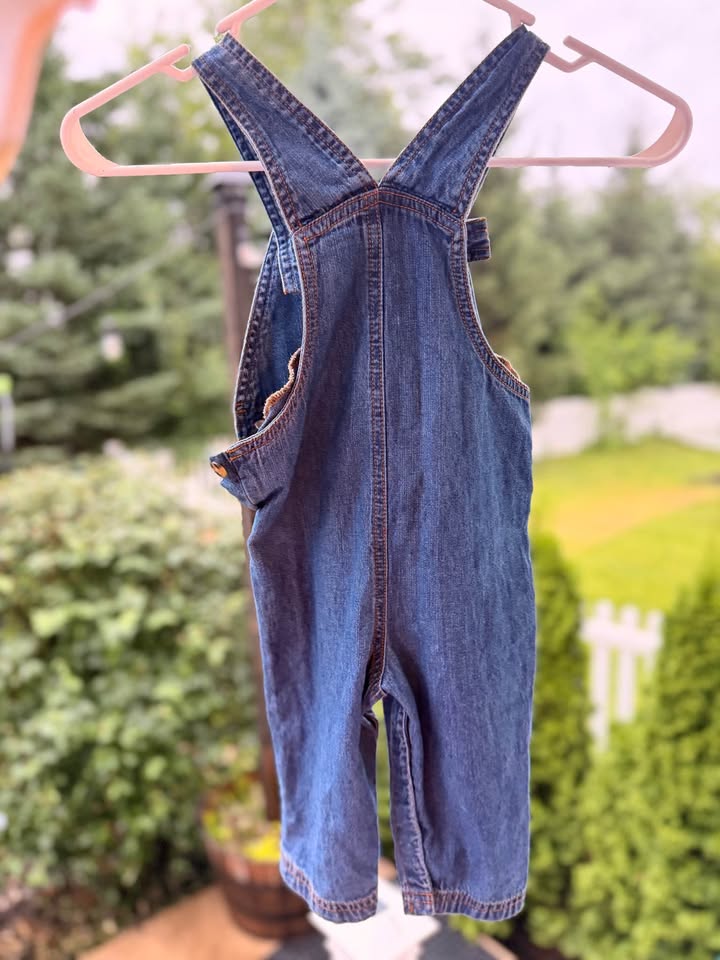 Bear in the Big Blue House and Luna Overalls (18 months)