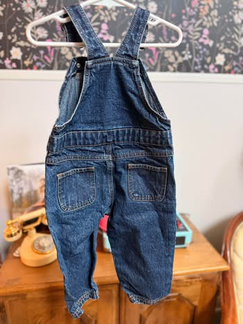 Embroidered Rolie Polie Overalls (18 months)