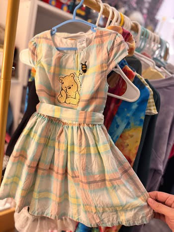 Pastel Winnie the Pooh Dress (2T)