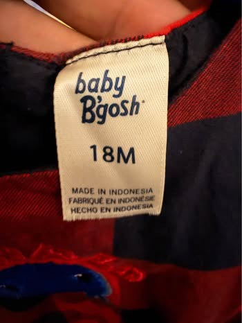 Embroidered Oswald Dress (18 months)