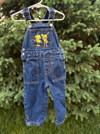 Embroidered Rolie Polie Overalls (18 months)